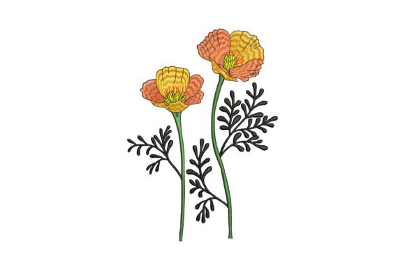 Sunlit Sisters Embroidery Review